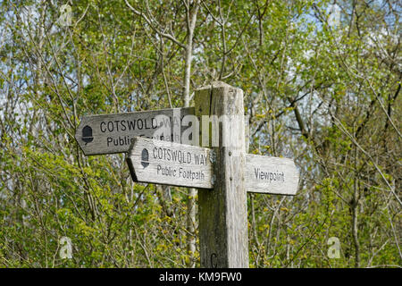 Cotswold Way Wegweiser bei Stinchcombe Hill, Gloucestershire, Cotswolds, Großbritannien Stockfoto