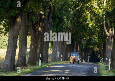 Ahornalley mit altem DDR-Dreirad, Rüdniz, Brandenburg, Deutschland Stockfoto