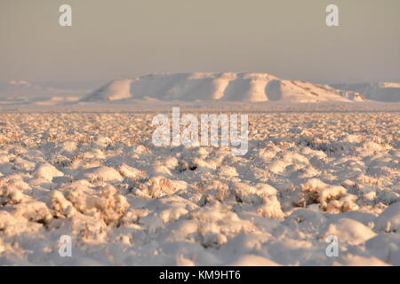 Frische, weichem Schnee deckt die sagebrush Steppe Grünland nach einem Winter Schnee Sturm an der seedskadee National Wildlife Refuge November 18, 2016 in der Nähe von Green River, Wyoming. (Foto von Tom Koerner über planetpix) Stockfoto