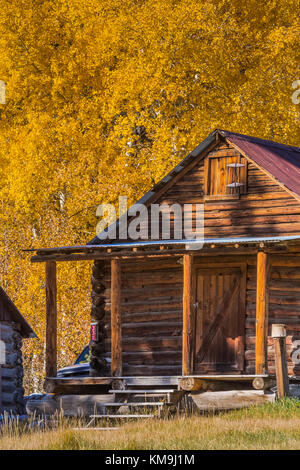 Herbst aspen Farbe mit historischen Ranch Gebäude Valles Grande in Valles Caldera National Preserve, einem wahren durch den National Park Service, n Run Stockfoto