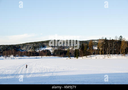 Eine Person üben Ski auf dem gefrorenen See von Bogstadvannet in Oslo, Norwegen. Allein in der Natur Stockfoto