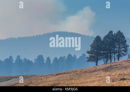 Rauchige Luft aus einer vorgegebenen Burn in Valles Caldera National Preserve, einem wahren, die von der National Park Service, New Mexico, USA Stockfoto