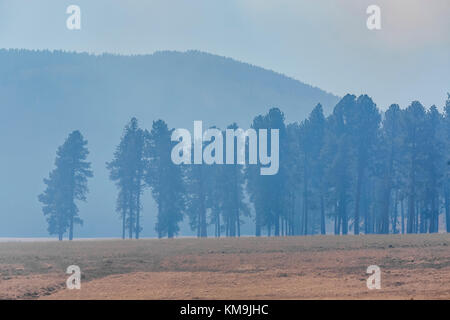 Rauchige Luft aus einer vorgegebenen Burn in Valles Caldera National Preserve, einem wahren, die von der National Park Service, New Mexico, USA Stockfoto