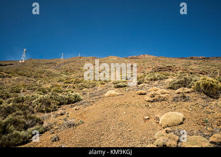 Nationalpark Teide, Teneriffa, Kanarische Inseln, Spanien Stockfoto