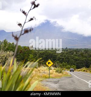 Ein gelbes Verkehrsschild am State Highway 4 im Tongariro-Nationalpark zieht die streng geschützten Kiwis an. (06. Februar 2016) | Nutzung weltweit Stockfoto