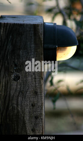 Krüger-Nationalpark, Marloth Park, Nahaufnahme, einzelne Holzstab mit elektrischem Licht eingeschaltet Stockfoto