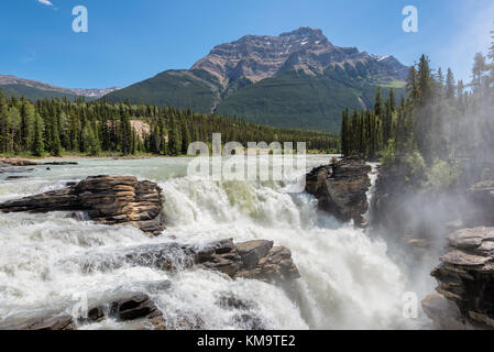 Athabasca Falls im Jasper Nationalpark Stockfoto
