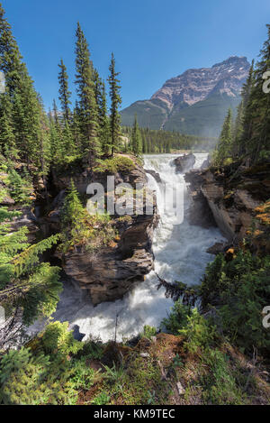 Athabasca Falls im Jasper Nationalpark Stockfoto