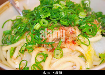 Üppige Suche japanische Udon mit frisch geschnittenen grünen Frühlingszwiebeln gekrönt und getrockneten Bonito Stockfoto