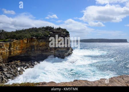 Klippen bei Gap bluff in Watsons Bay, einem östlichen Vorort von Sydney, New South Wales, Australien Stockfoto