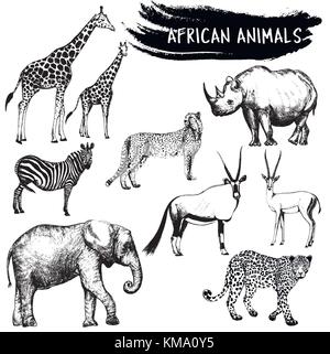 Hand gezeichnete Skizze der afrikanischen Tiere - Giraffen, Zebras, Elefanten, Geparden, Oryx, Leopard, Gazellen und Rhino. Vector Illustration isoliert auf weißem Stock Vektor