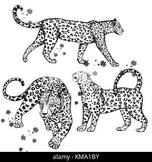 Satz von Hand gezeichnete Skizze stil Leoparden. Vector Illustration auf weißem Hintergrund. Stock Vektor