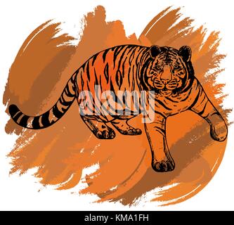 Hand gezeichnete Skizze stil Tiger. isolierte Vector Illustration. Stock Vektor