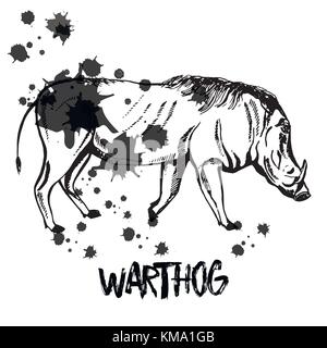Hand gezeichnete Skizze stil Warzenschwein. Vector Illustration auf weißem Hintergrund. Stock Vektor