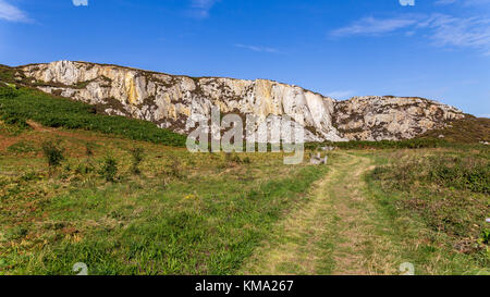 Landschaft zwischen Holyhead Wellenbrecher Country Park und North Stack, Isle of Anglesey, Wales, Großbritannien Stockfoto