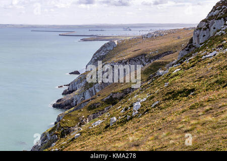 Küste zwischen Holyhead Wellenbrecher Country Park und North Stack, Isle of Anglesey, Wales, Großbritannien Stockfoto