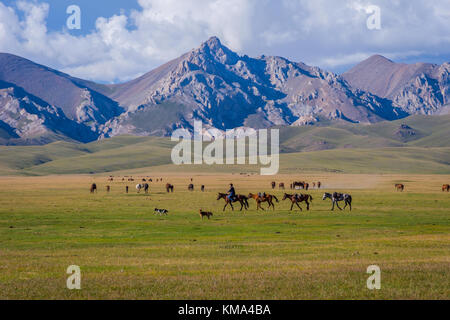 Song kul, Kirgisistan - 11. August: Mann reiten und Pferde über die malerische Landschaft der Song Kul See. august 2016 Stockfoto