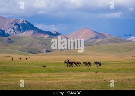 Song kul, Kirgisistan - 11. August: Mann reiten und Pferde über die malerische Landschaft der Song Kul See. august 2016 Stockfoto