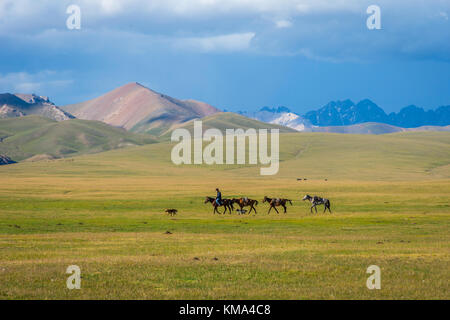 Song kul, Kirgisistan - 11. August: Mann reiten und Pferde über die malerische Landschaft der Song Kul See. august 2016 Stockfoto