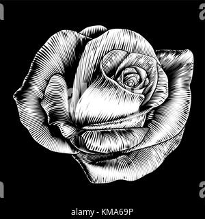 Rose Blume Vintage Stil Holzschnitt Gravur Ätzung Stock Vektor
