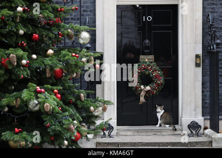 Larry die Katze draußen 10 Downing Street, London. Stockfoto