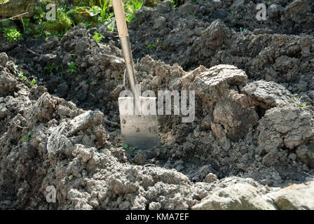 Frühling im Garten: Garten Spaten in Ruhe nach einem Morgen verbrachte gräbt Furchen für die Anpflanzung von Kartoffeln Stockfoto