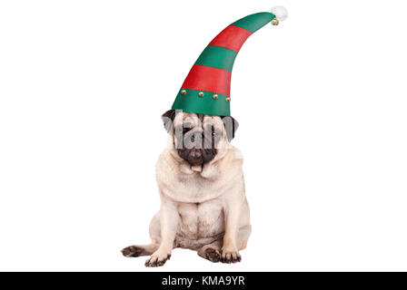 Grumpy konfrontiert Mops Welpen Hund mit Elf hut für Weihnachten, hinsetzen, auf weißem Hintergrund Stockfoto