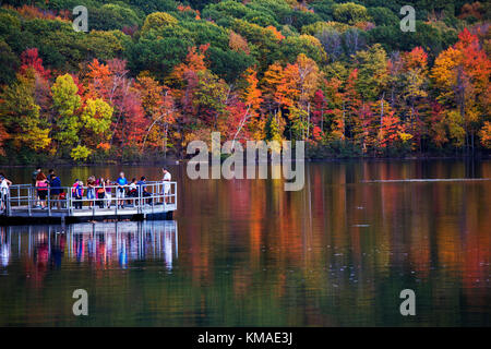 Kanadische herbst Reflexion in mont-saint-bruno Nationalpark, QC, Kanada Stockfoto