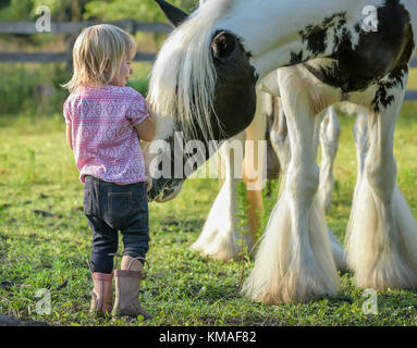 Kleinkind Mädchen mit Gypsy Vanner horse Mare im Fahrerlager Stockfoto