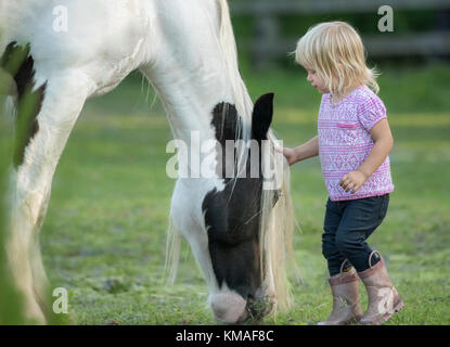 Kleinkind Mädchen mit grossen gypsy Pferd auf der Weide Stockfoto