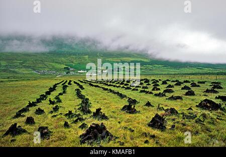 Torf Rasen gestapelt, um Kraftstoff unter Nebel trocknen abgedeckt Slievemore Mountain auf Achill Island, County Mayo, West-Irland. Stockfoto