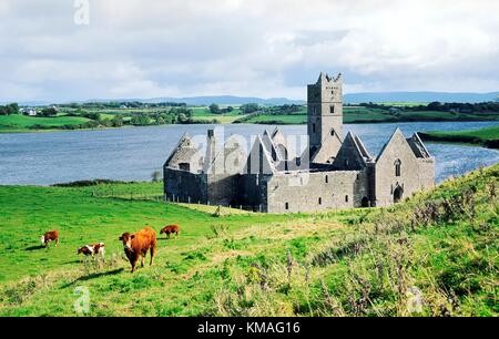 Die Ruinen von Rosserk 15 ° C. Franziskaner-Kloster an der Mündung der Moy nahe der Stadt von Killala, County Mayo, West-Irland. Stockfoto