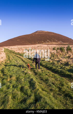 Ein Wanderer Ansätze Hill O Noth in der Nähe von Rhynie, Aberdeenshire, Schottland, wo die Ruinen von Tap O Noth Hill Fort für die verglaste Steinmauern berühmt sind Stockfoto