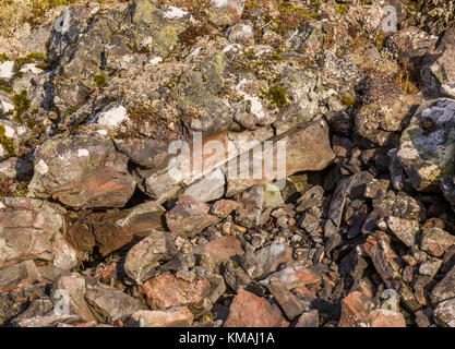 Eine Nahaufnahme von Verglasten Stein auf den Ruinen der Eisenzeit Tippen O Noth Hill Fort auf dem Hügel O Noth in der Nähe von Rhynie, Aberdeenshire, Schottland Stockfoto