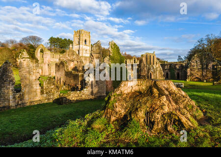 Die Ruinen der Brunnen an einem schönen Herbstmorgen Abtei ab über den Fluss skell in der Nähe von Bedale, Yorkshire, Großbritannien. Stockfoto