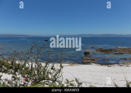 Pereiro Strand in Ons Island, Atlantic Islands National Park, Pontevedra, Galicien, Spanien Stockfoto