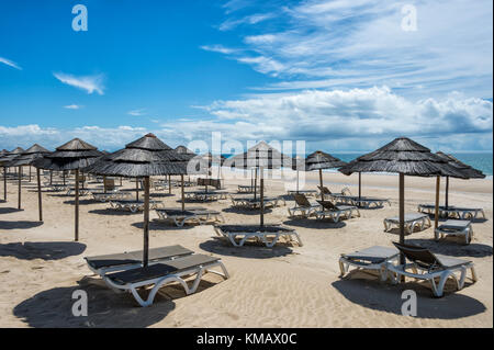 Leeren Strand mit Liegestühlen und parosols Stockfoto