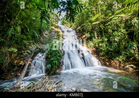 Kleiner Wasserfall in den dunklen Wald. Wasserfälle und Vegetation im Bwindi Impenetrable Forest in Uganda (Afrika) Stockfoto
