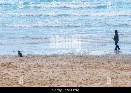 Hundespaziergängen - ein Hundespaziergänger mit seinem Welpen an einer langen Bleileine am Fistral Beach Newquay Cornwall UK. Stockfoto