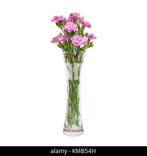 Ein Bouquet von rosa Blumen in einer Vase Glas transparent ist auf einem weißen backgroun isoliert Stockfoto