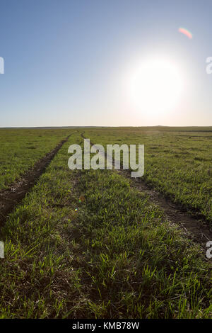 Gerade zurückweichenden Feldweg durch Hof Weiden in einem niedrigen Winkel Blick im Abendlicht Blick in Richtung der untergehenden Sonne Stockfoto