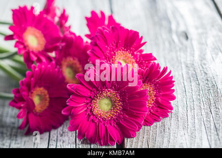 Rosa Gerbera Blumen auf alten Holztisch. Stockfoto