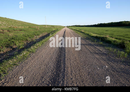 Low Angle View eines ländlichen Feldweg im Abendlicht durch grüne Wiesen und Hügel geht zurueck Stockfoto