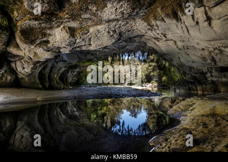 Moria Gate Kalkstein Bogen, Oparara Basin, Buller, Neuseeland. Stockfoto