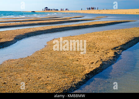 Kreuzfahrtschiff Passagiere auf eine Sandbank in Montgomery Reef in der Kimberley Stockfoto