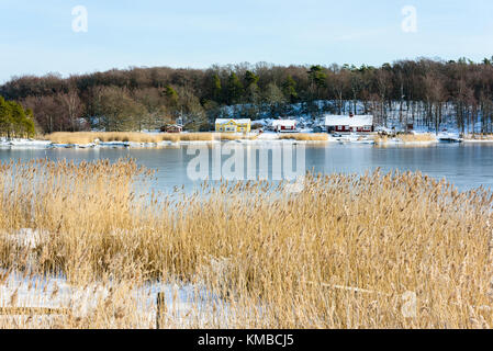 Küsten Winterlandschaft mit gefrorenen Meer Eis und Schnee auf dem Boden. private Häuser im Hintergrund und Reed Bett im Vordergrund. Lage hjortah Stockfoto