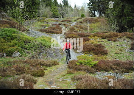 MTB Trail, Thüringer Wald, Deutschland Stockfoto
