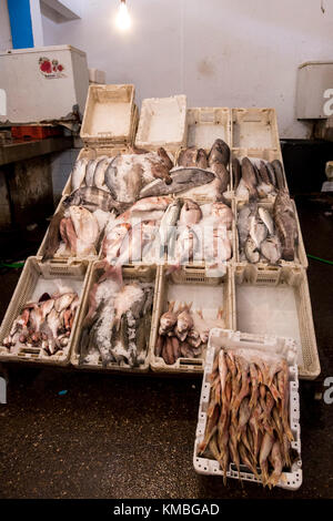 Agadir, Marokko, 24. Oktober 2017: Souk El hatte, der sich im Zentrum von Agadir, bietet frischen Fisch und traditionellen marokkanischen waren. Stockfoto