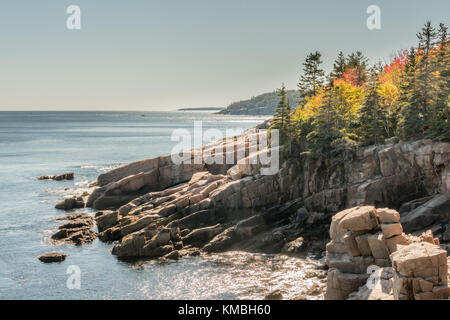 Herbst Farben auf felsigen Maine Küste in Acadia Stockfoto