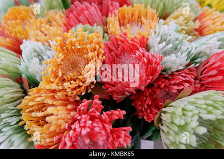 Künstliche Blumen auf Anzeige frisch und real, in der Nähe gefangen bis Stockfoto